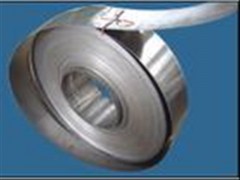 不锈钢弹簧片 不锈钢弹簧片