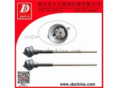 WRSO1铂铑热电偶 WRSO1铂铑热电偶