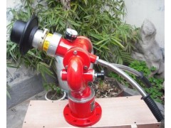 章丘PS固定可调式消防水炮