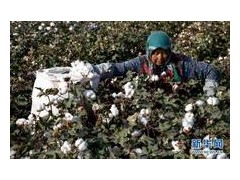 大型采棉机价格 我爱发明采棉机视频 约翰迪尔采棉机配件