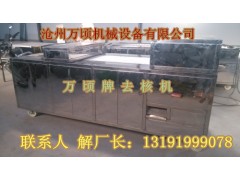 荔枝剥壳机荔枝去核机