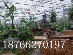 pc板,蜂窝阳光板 pc板,蜂窝阳光板