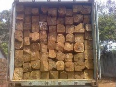 张家港木材进口报关代理 张家港木材进口报关代理