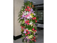 上海徐汇区乌鲁木齐南路东平路鲜花店鲜花24小时配送