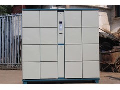 中国生鲜市场庞大 冷链物流前景广阔武汉天征电子蔬菜柜 中国生鲜市场庞大 冷链物流前景广阔武汉天征电子蔬菜柜