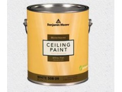 专业天花漆系列