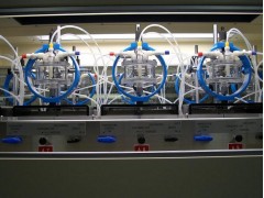 阀门抗HIC检测 阀门抗HIC检测