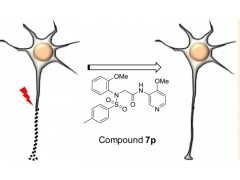 Compound 7P