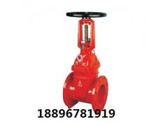 苏州埃美柯阀门,苏州埃美柯闸阀,宁波埃美柯阀门