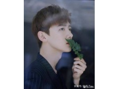 白敬亭经纪人签约经纪公司15201879909 白敬亭经纪人签约经纪公司15201879909