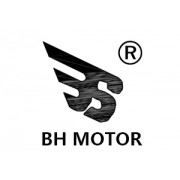 大东莞市博厚电机有限公司