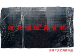 超细乙丙再生胶生产海绵密封条