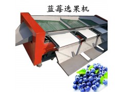 山东全自动蓝莓选果机，不伤果粉蓝莓分级机