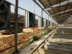 负压风机降温湿帘湖南水帘墙降温通风工程就找金华勇 负压风机降温湿帘湖南水帘墙降温通风工程就找金华勇