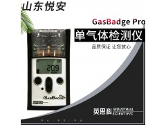美国英思科GB60便携式单一硫化氢气体检测仪 美国英思科GB60便携式单一硫化氢气体检测仪